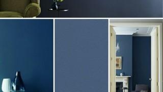 vopsea-zoffany-albastra